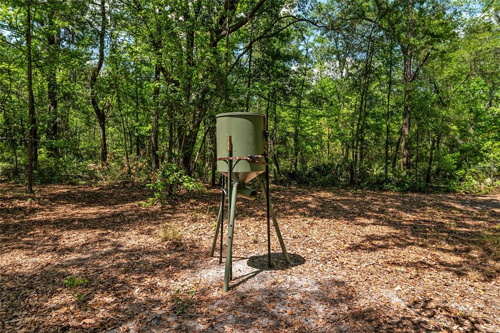 A green wildlife feeder stands in a wooded area covered with fallen leaves — 4814 NW 244 AVENUE, ALACHUA, FL