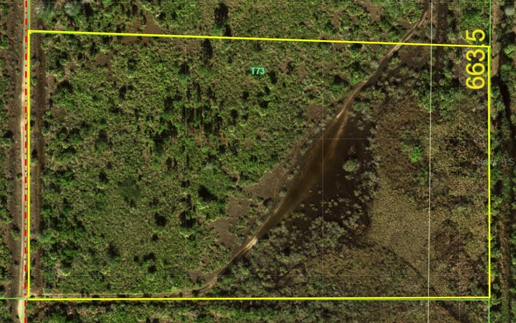 An aerial view of a rectangular plot of land outlined in yellow with vegetation — 50982 BERMONT ROAD, PUNTA GORDA, FL