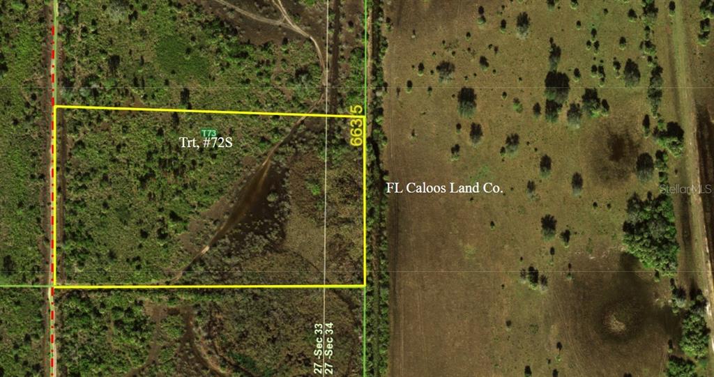 This is an aerial map showing a rectangular land parcel outlined in yellow — 50982 BERMONT ROAD, PUNTA GORDA, FL