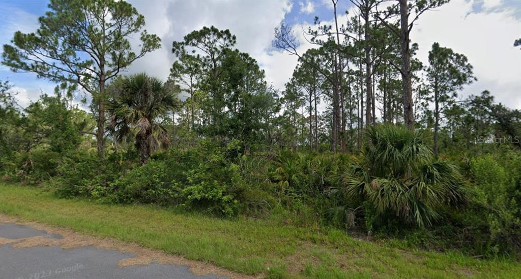 A vacant, wooded lot with tall pine trees and palmetto bushes borders a paved road — 15194 PLANT AVENUE, PORT CHARLOTTE, FL