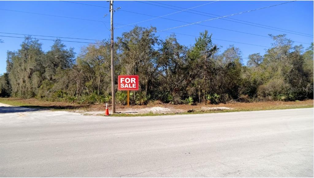 A red for sale sign stands on a vacant, wooded lot beside a paved road — TBD CORNER LOT 175TH STREET ROAD NE, CITRA, FL