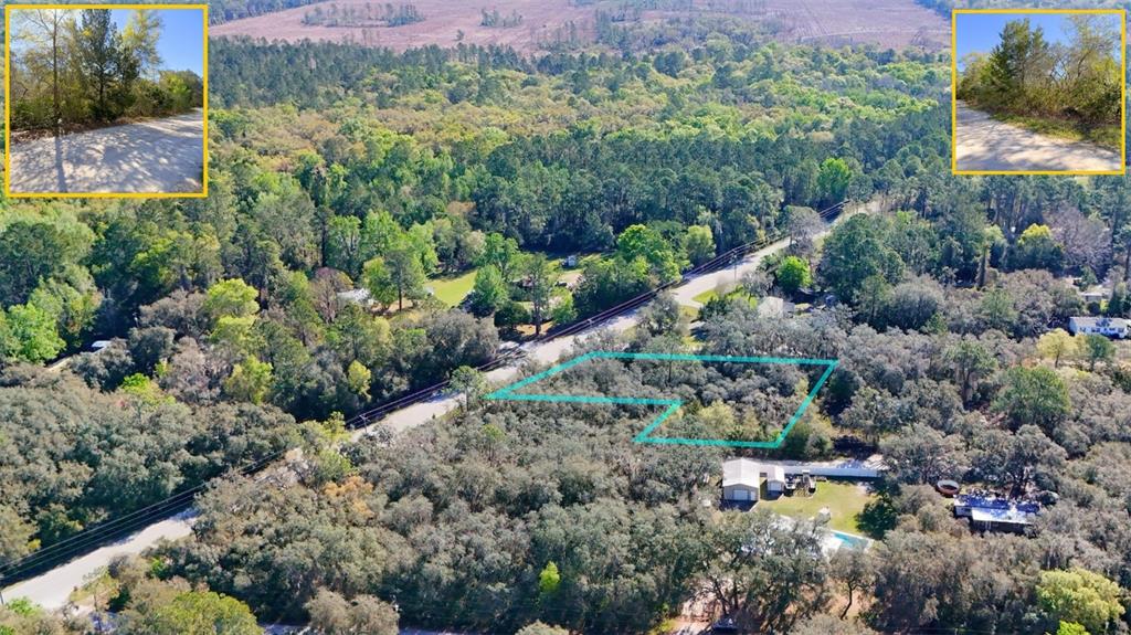 An aerial view shows a wooded residential lot outlined in teal next to a road — TBD CORNER LOT 175TH STREET ROAD NE, CITRA, FL