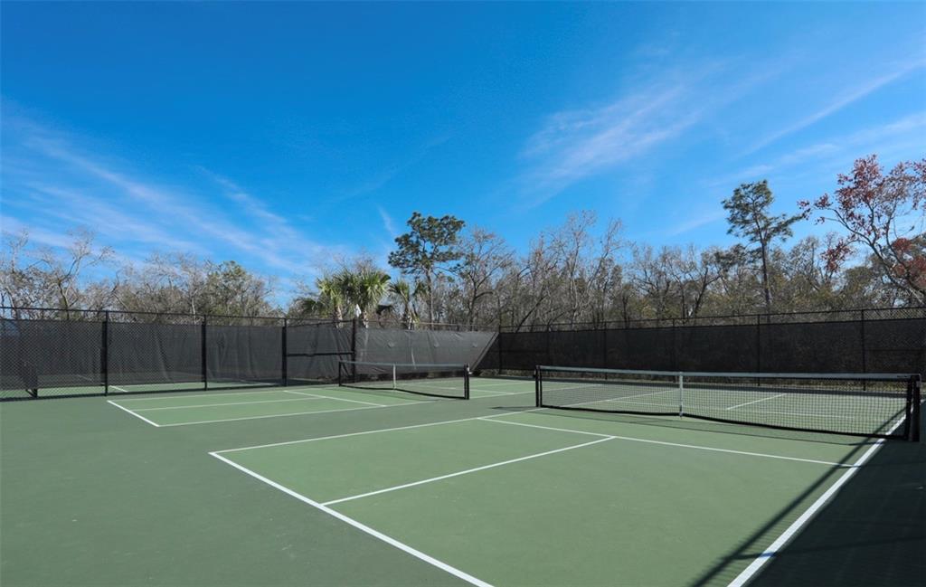 An outdoor pickleball court with green surfacing and black perimeter fencing under a blue sky — 16814 VARDON TERRACE UNIT 201, BRADENTON, FL