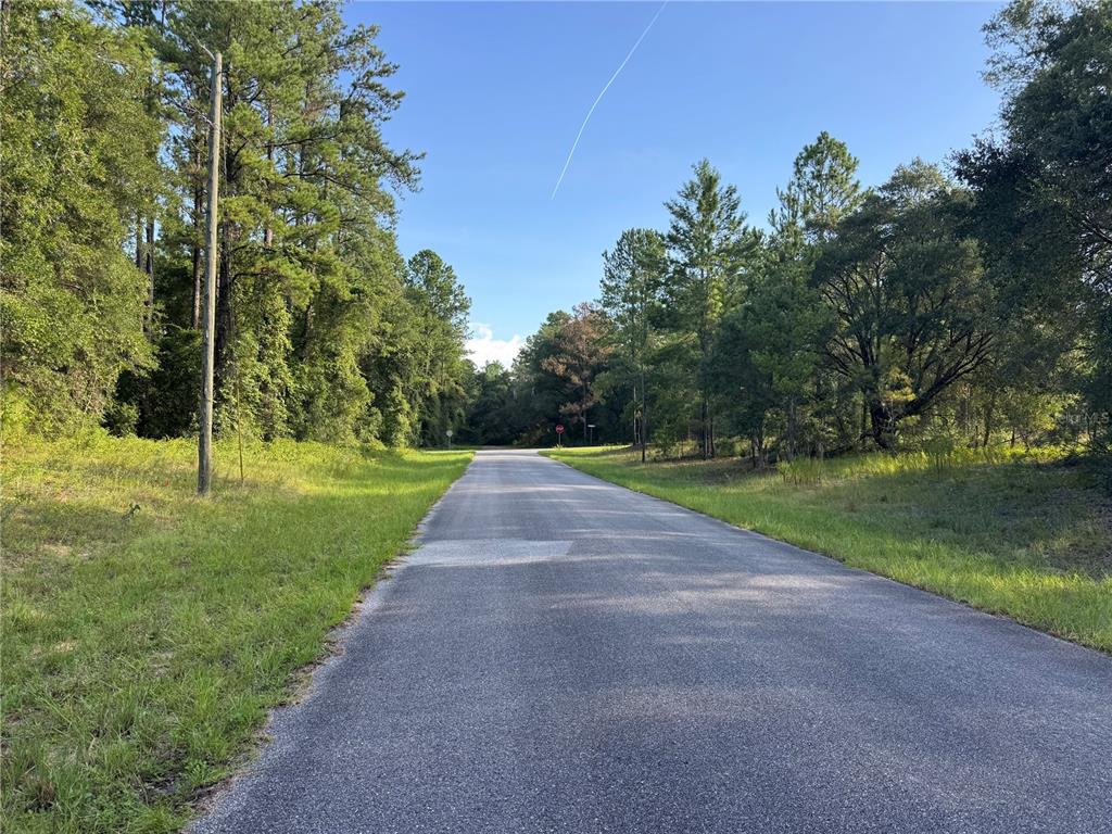 A paved road stretches through a wooded area toward a distant stop sign — 1273 E TOLEDO DRIVE, DUNNELLON, FL