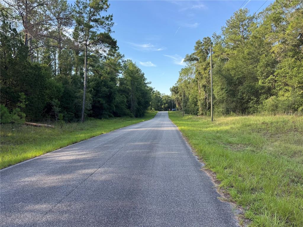 A paved road stretches into the distance between dense green trees and grassy shoulders — 1273 E TOLEDO DRIVE, DUNNELLON, FL