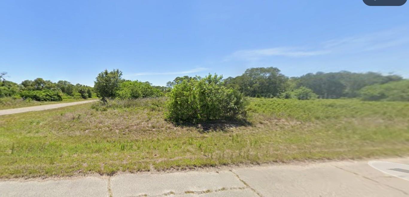 A vacant, grassy lot with scattered shrubs and trees sits beside a paved road — 1118 Silverfish Drive, FL 33935, FL