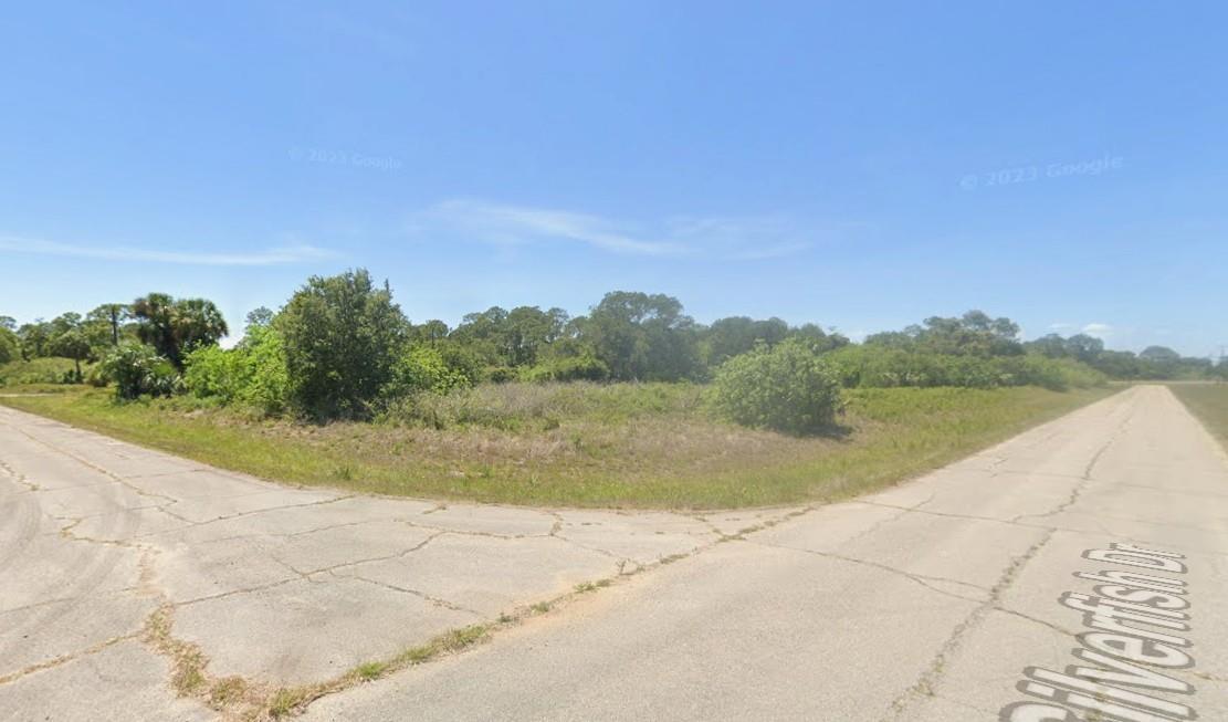 An empty, overgrown corner lot sits at the intersection of two paved roads — 1118 Silverfish Drive, FL 33935, FL