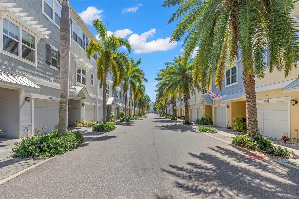 A street view of a residential complex featuring townhomes, palm trees, and paved roads — 5918 ANCHORAGE WAY S, ST PETERSBURG, FL