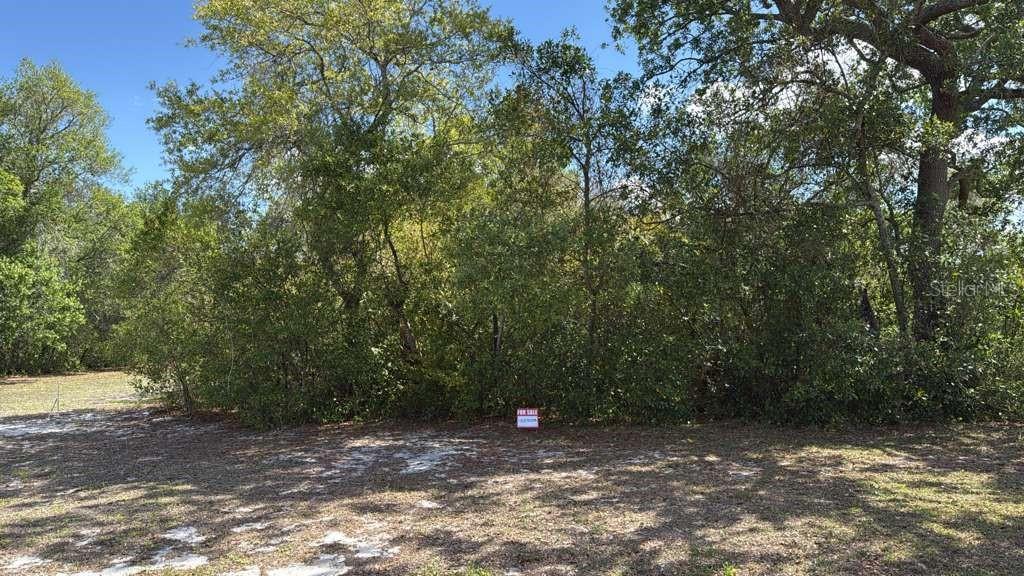 1105 GRAPEFRUIT AVENUE, SEBRING, FL — photo 2 of 5