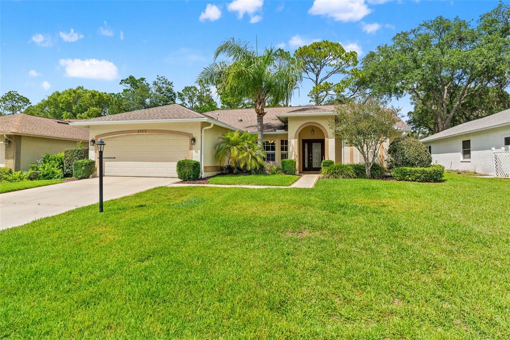 A single-story suburban house with a tan stucco exterior, a two-car garage, and a palm tree — 2593 CRYSTAL LAKE DRIVE, SPRING HILL, FL