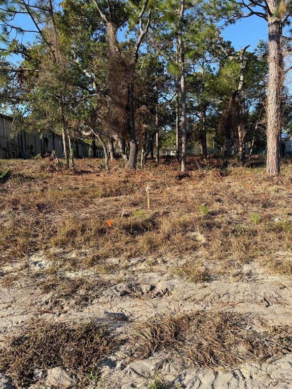13786 LINDEN DRIVE, SPRING HILL, FL — photo 2 of 4