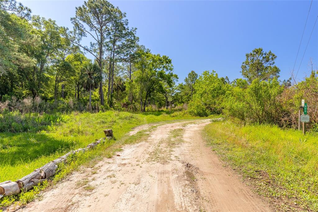 A dirt road winds through a grassy, wooded area under a clear blue sky — 00 COUNTY ROAD 90 E, BUNNELL, FL