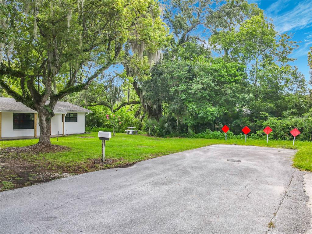 A white house with a paved driveway and a large tree in the front yard — 702 AVENUE A, DAYTONA BEACH, FL