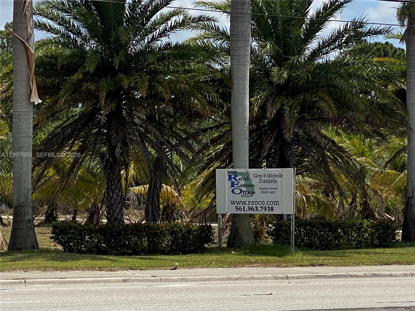 A real estate sign stands in front of palm trees along a roadside — 4411 Forest Hill Blvd, Palm Springs FL 33406, PALM SPRINGS, FL