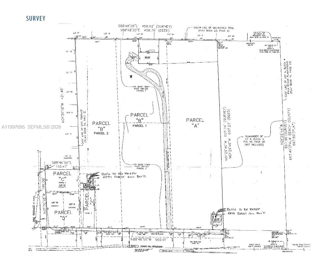 This is a land survey map showing property boundaries, parcels, and existing building locations — 4411 Forest Hill Blvd, Palm Springs FL 33406, PALM SPRINGS, FL