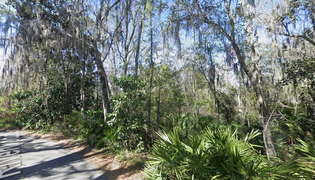 A paved road runs alongside a wooded lot filled with trees draped in Spanish moss — RIVERWOOD DRIVE, FLEMING ISLAND, FL