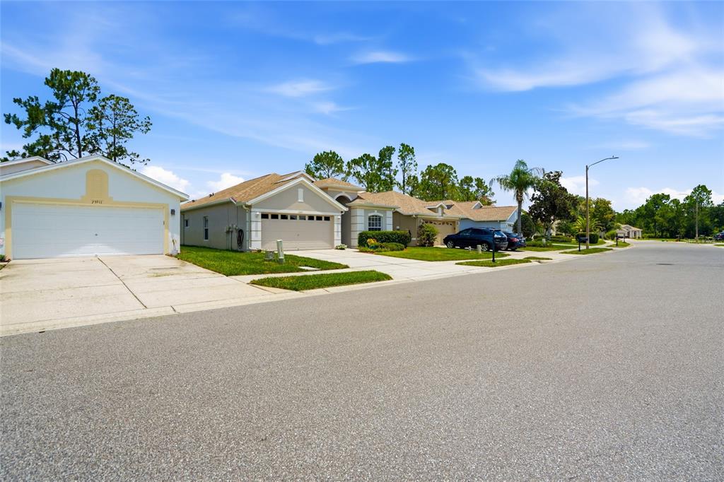 The exterior of a house features a blue front door, a garage, and landscaped bushes — 23915 CORAL RIDGE LANE, LAND O LAKES, FL