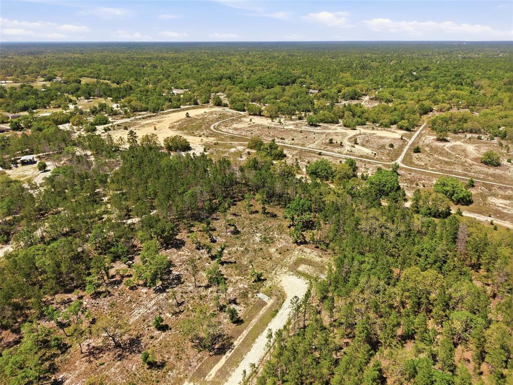 An aerial view shows a dirt road leading to a cleared lot surrounded by trees — 13331 HAVEN (LOT 4) TRAIL, WEEKI WACHEE, FL