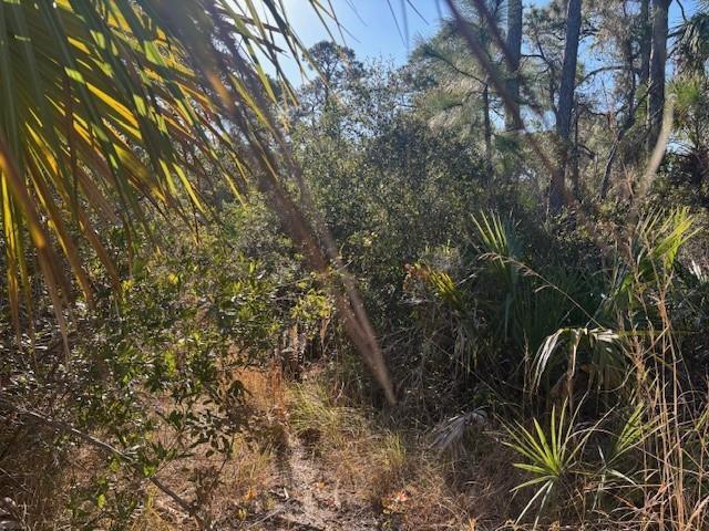 A narrow dirt path winds through a dense wooded area with palmettos and tall trees — 42260 93rd Avenue, Vero Beach FL 32966, VERO BEACH, FL