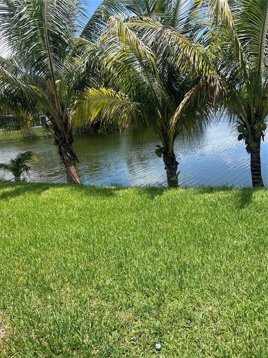 A grassy lawn overlooks a small pond lined with several palm trees — 2730 Cypress Ave, Miramar FL 33025, MIRAMAR, FL