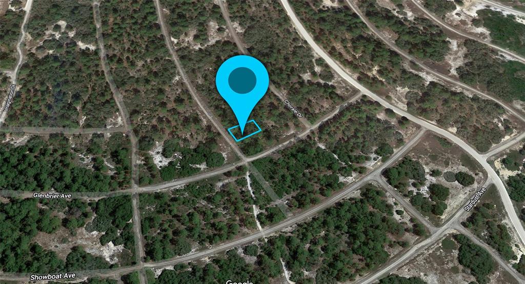 This is a satellite map view showing a vacant lot marked with a blue pin — 363 CONCERT DRIVE, LAKE PLACID, FL