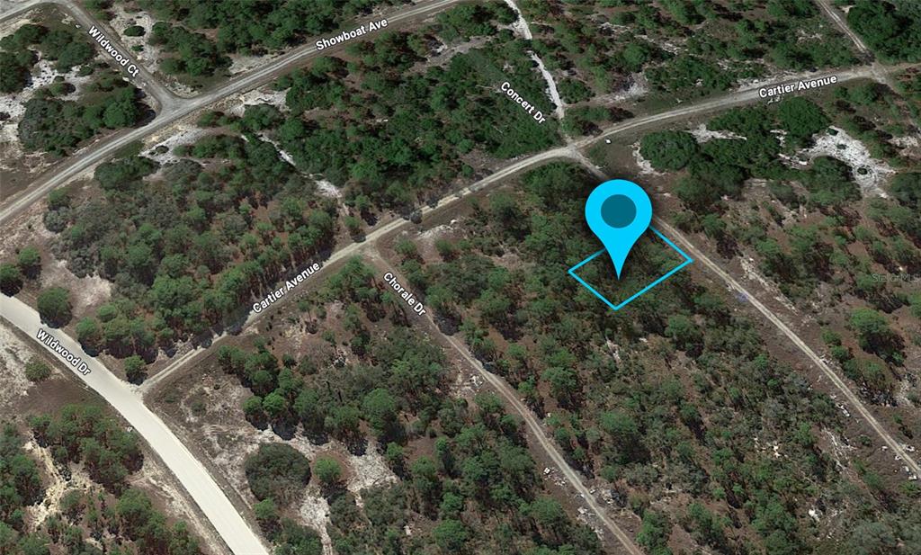 An aerial view shows a vacant, wooded lot marked with a blue location pin — 363 CONCERT DRIVE, LAKE PLACID, FL
