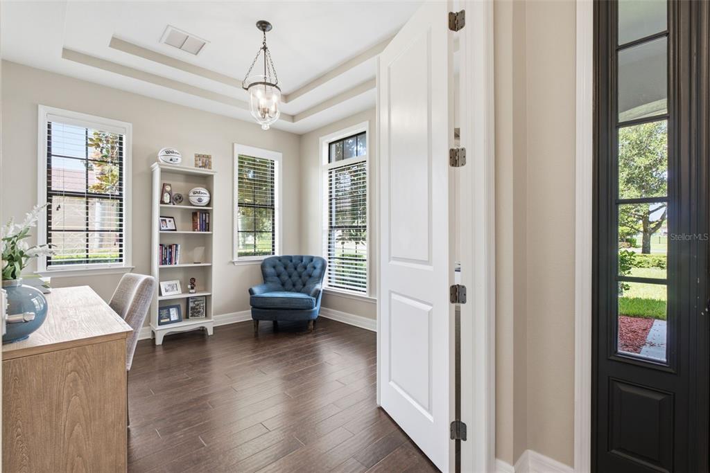 A home office features dark wood floors, a blue tufted chair, and a white bookshelf — 17909 HOWSMOOR PLACE, LUTZ, FL