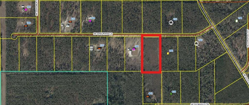 This is an aerial map showing a rectangular parcel of land highlighted in red — 462 NE CALABAZILLA TRAIL, LEE, FL