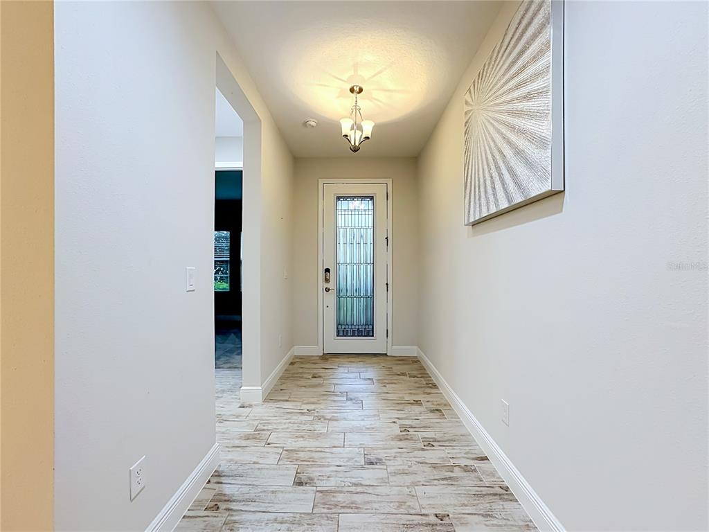 A bright entryway features wood-look tile flooring, a glass-paneled front door, and a ceiling light — 14654 HORSE TROT ROAD, LITHIA, FL
