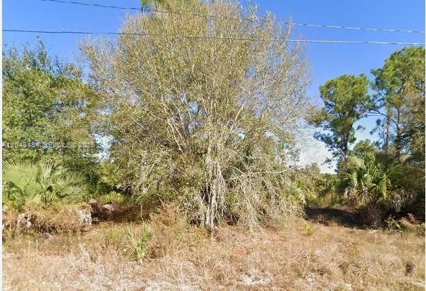 3602 63rd St W, Lehigh Acres FL 33971