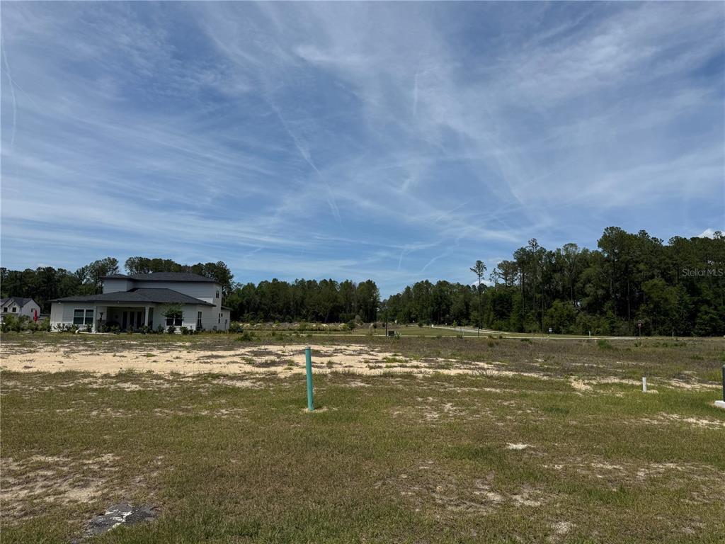 A vacant, grassy lot with a house visible in the background under a cloudy sky — 14772 SW 11TH PLACE, NEWBERRY, FL