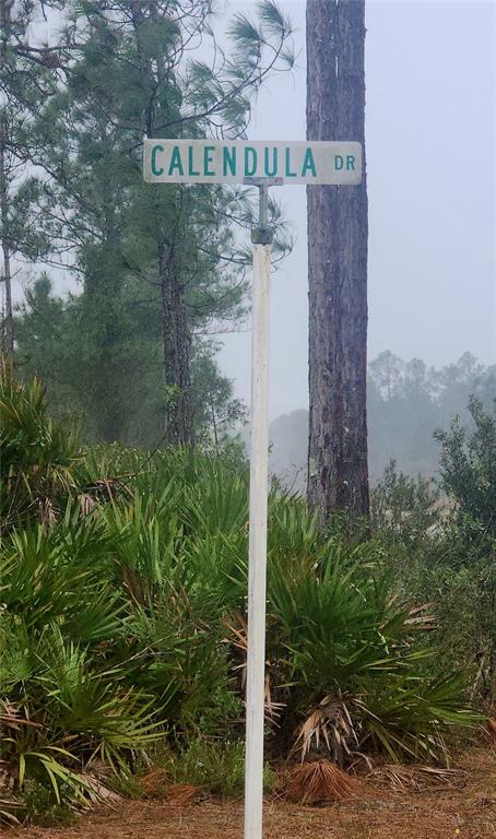 619 CALENDULA DRIVE, INDIAN LAKE ESTATES, FL — photo 4 of 7