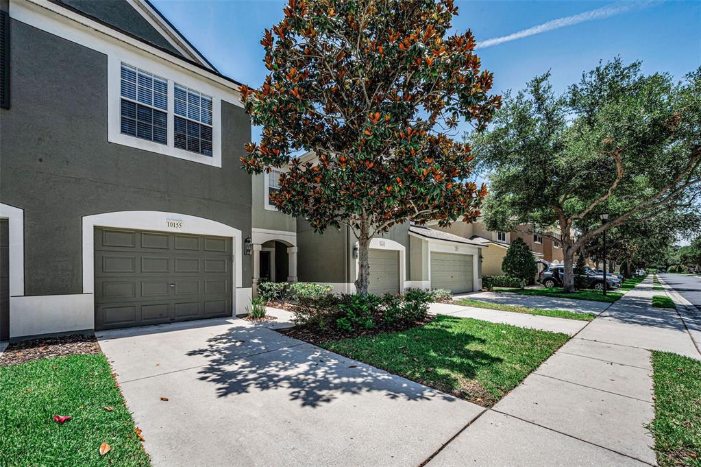 A two-story townhouse with a gray exterior, a single-car garage, and a large magnolia tree — 10155 HAVERHILL RIDGE DRIVE, RIVERVIEW, FL