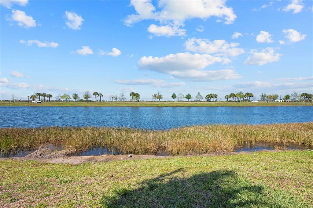 A view of a calm lake with grassy banks and a line of trees beyond — 5830 SILVER SUN DRIVE, APOLLO BEACH, FL