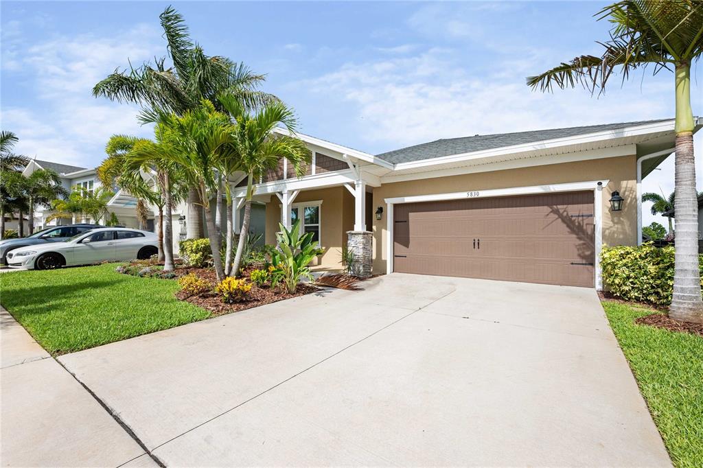 A single-story house with a brown garage door, palm trees, and a concrete driveway — 5830 SILVER SUN DRIVE, APOLLO BEACH, FL