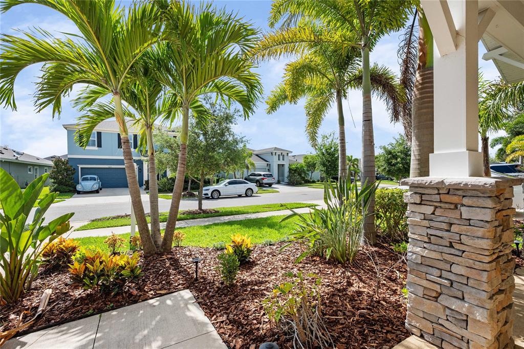 A view from a front porch looking out at a suburban street with palm trees — 5830 SILVER SUN DRIVE, APOLLO BEACH, FL