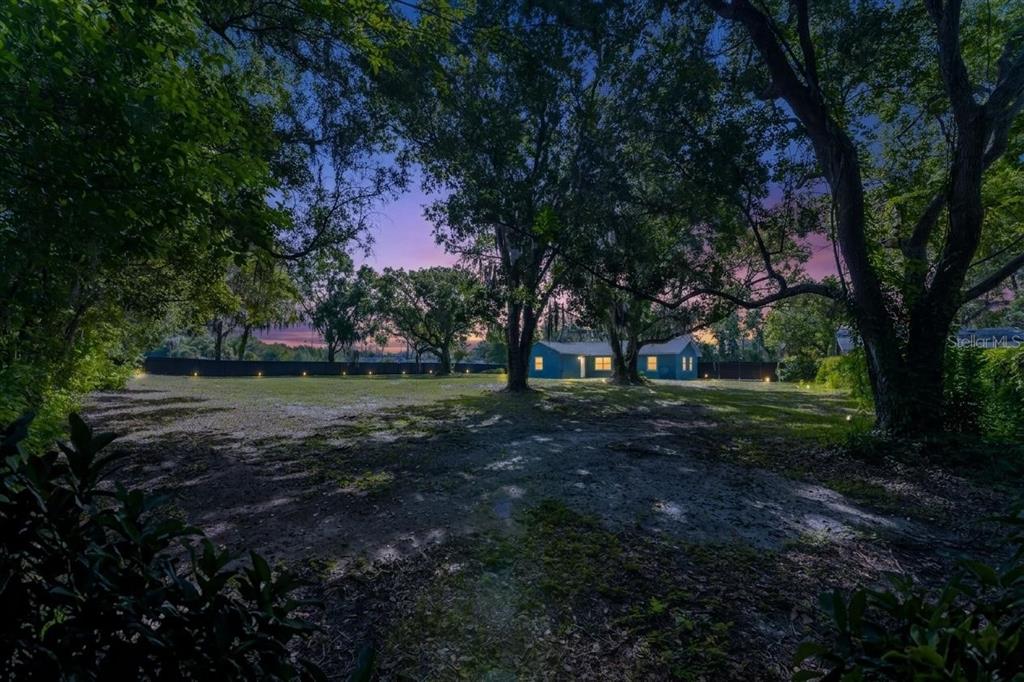 A small blue house sits in a large, tree-filled yard at dusk — 21149 LITTLE LAKE THOMAS ROAD, LAND O LAKES, FL
