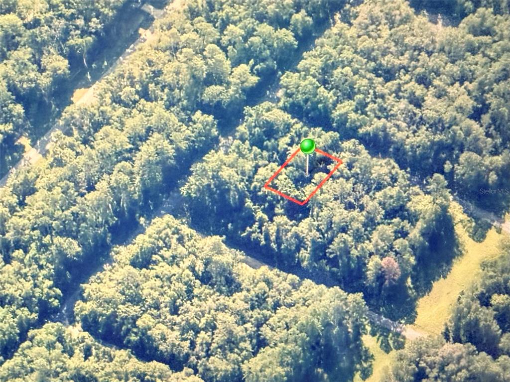 An aerial view shows a rectangular plot of land outlined in red within a forest — 775 E ELGROVE DRIVE, CITRUS SPRINGS, FL