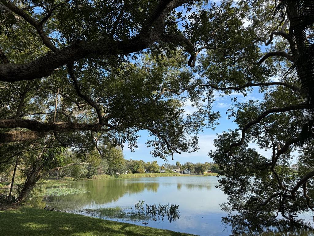 A view of a calm lake framed by large, overhanging oak trees — 2943 EAGLE LAKE DRIVE, ORLANDO, FL