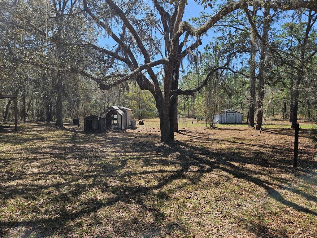 6246 E MCMULLEN ROAD, FLORAL CITY, FL — photo 4 of 13