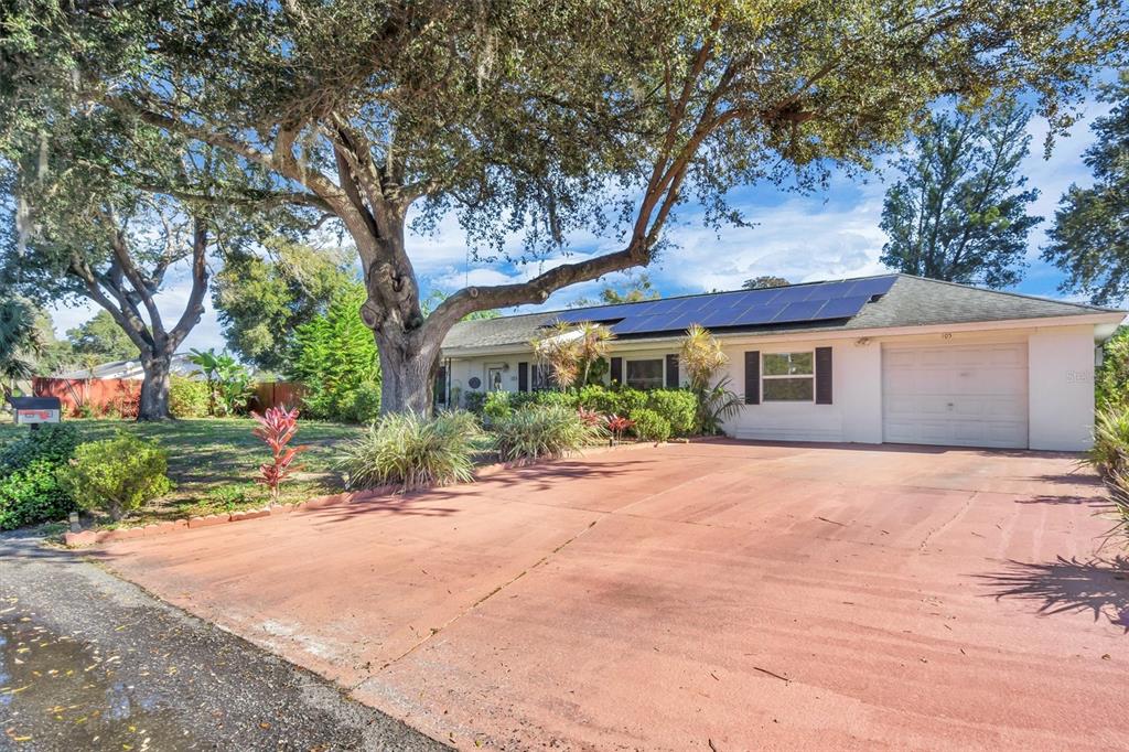 A single-story house with a red driveway, solar panels on the roof, and large trees — 105 OWEN CIRCLE S, AUBURNDALE, FL