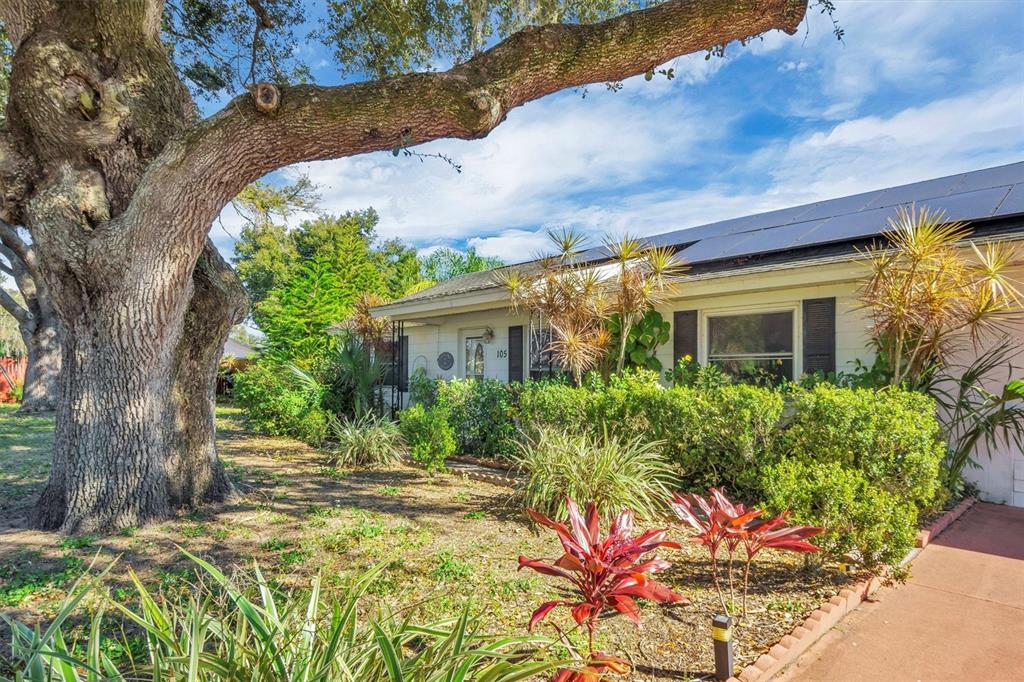 A large oak tree shades the front yard and exterior of a single-story house — 105 OWEN CIRCLE S, AUBURNDALE, FL