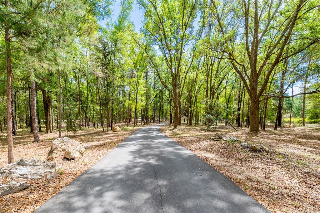 A paved driveway winds through a wooded area with scattered rocks and tall trees — 456 SW BRADENTON WAY, FORT WHITE, FL