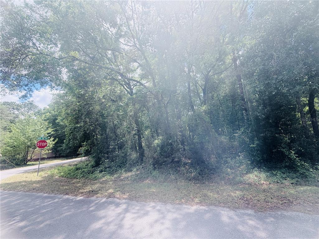A wooded, undeveloped corner lot sits at the intersection of two paved roads — TBD NW 20TH ST, OCALA, FL