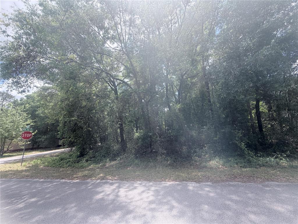 A wooded, undeveloped residential lot is situated at a street corner with a stop sign — TBD NW 20TH ST, OCALA, FL