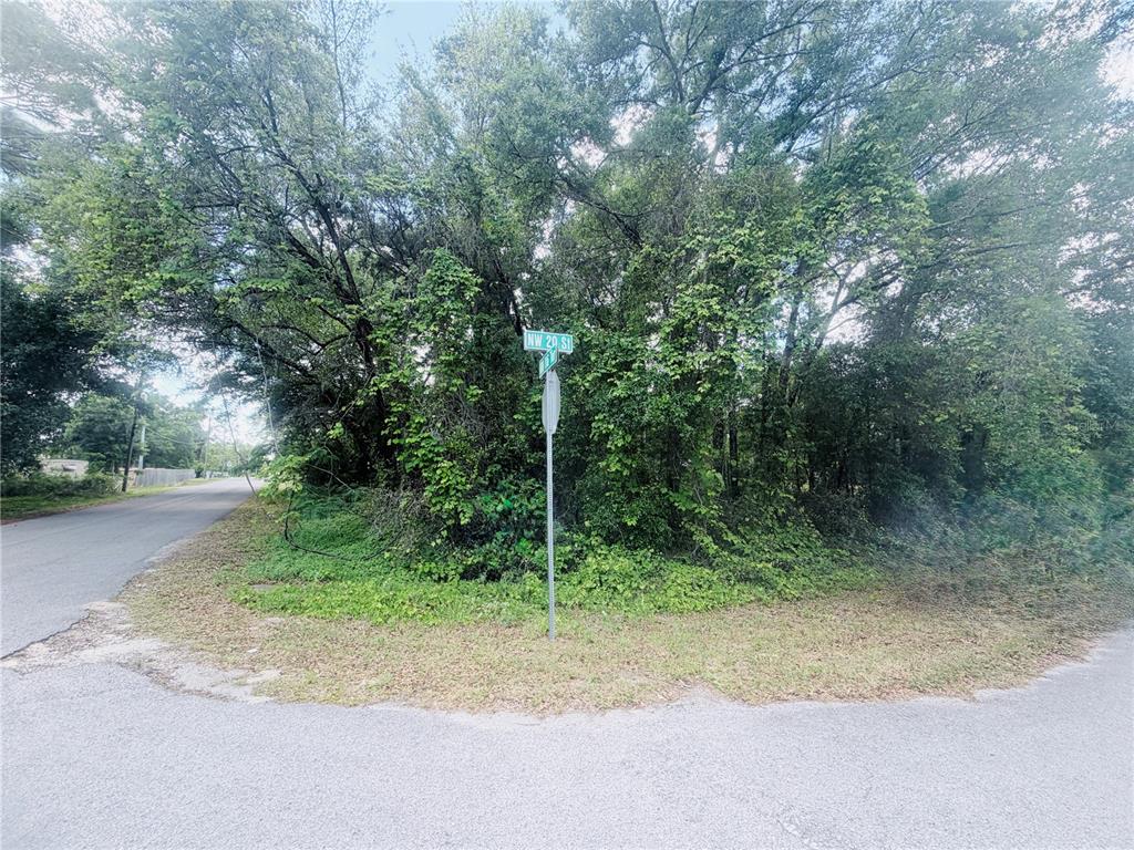 A street corner with a signpost stands before a dense, overgrown wooded lot — TBD NW 20TH ST, OCALA, FL