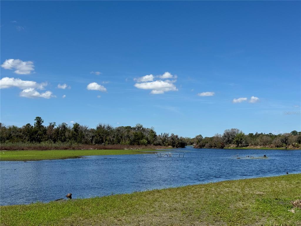 11325 HIDDEN VALLEY LANE, RIVERVIEW, FL — photo 2 of 30