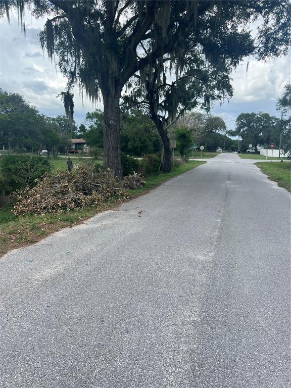A paved road leads toward an intersection past a large tree and a brush pile — SHADY OAK AVENUE, LAKE WALES, FL