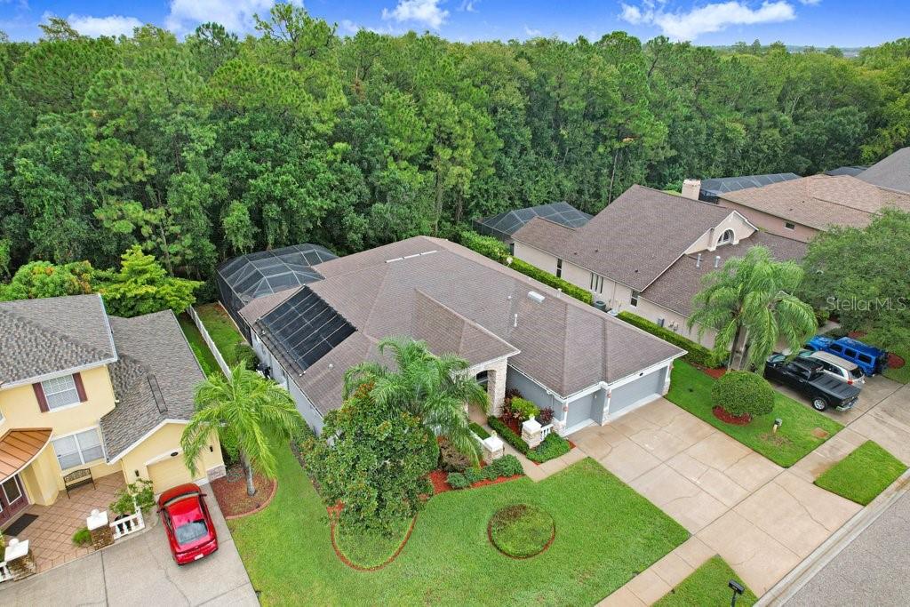 16116 IVY LAKE DRIVE, ODESSA, FL — photo 5 of 30