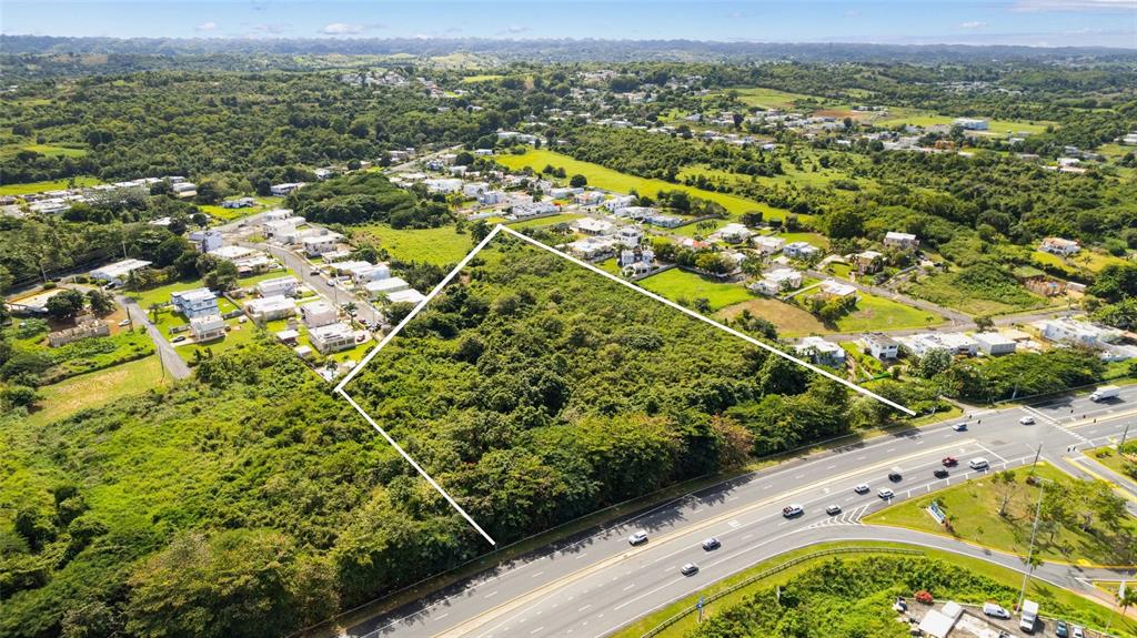 An aerial view shows a large, undeveloped wooded lot adjacent to a multi-lane highway — CARR. NUM. 2 KM. 91.8, CAMUY, PR